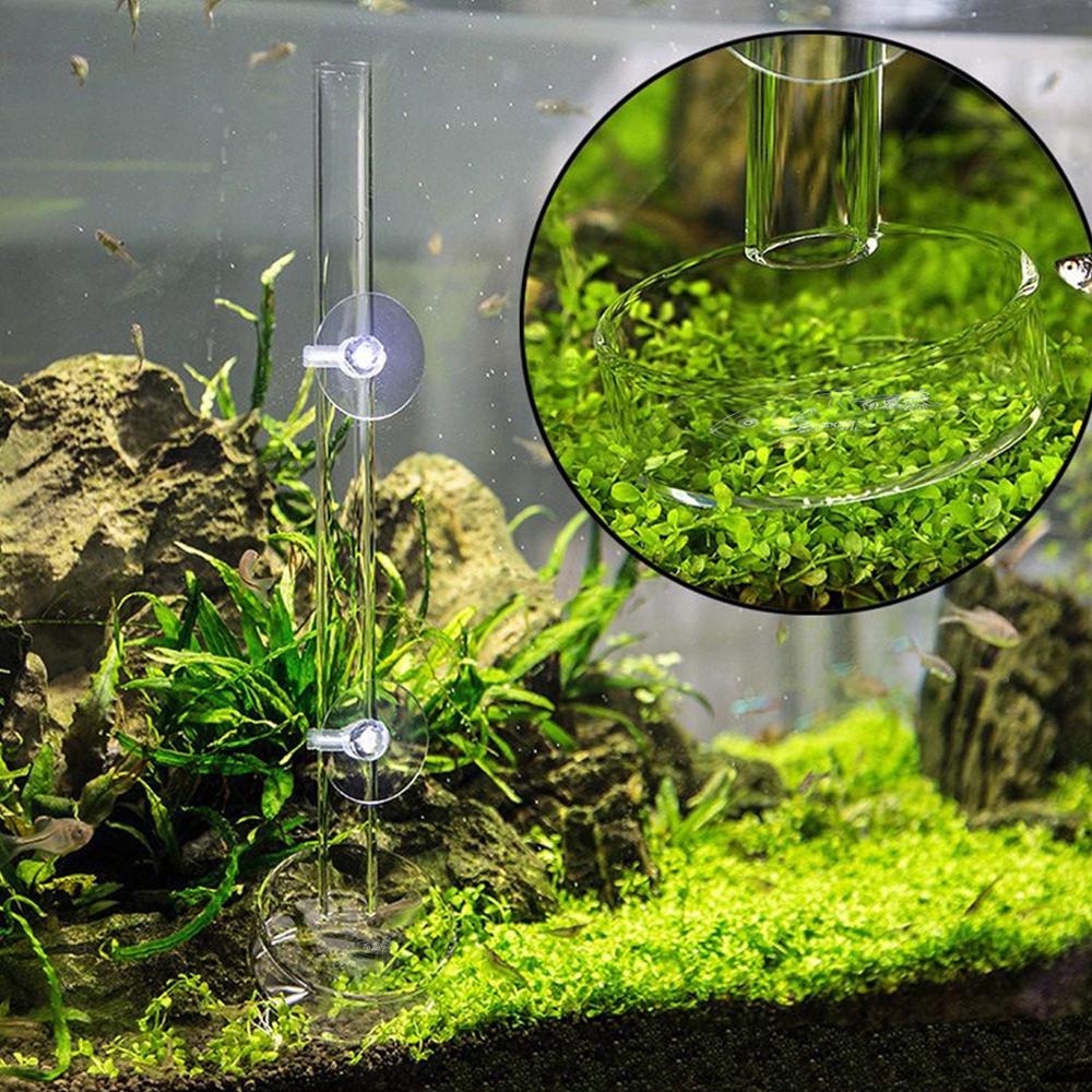 Behogar rejer foder fad akryl rejer foder med 6cm skåle til akvarie akvarium fiskefoder foderrør 2 x 27cm