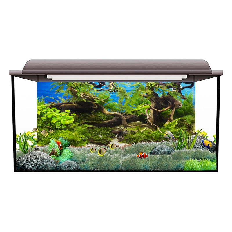 Autocollant de fond d'aquarium, affiche de fond, plante, poisson précieux, décoration, papier peint auto-adhésif, fond 3D