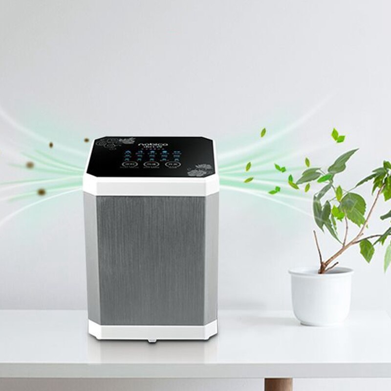 Ionizer Air Purifier Negative Ionizer Timing Quiet Activated Carbon Air Purifier for Home Office Remove Formaldehyde Smoke