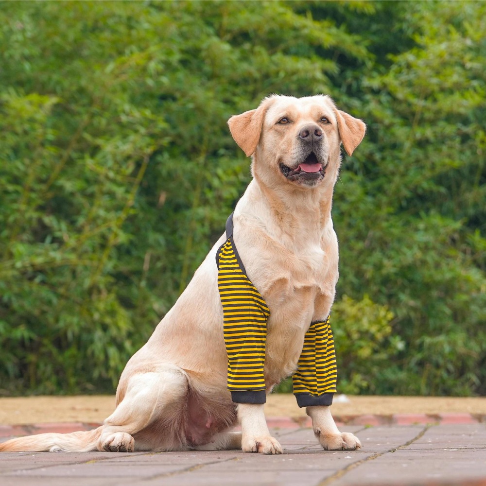 Cartoon Pattern Dog Elbow Sleeves Soft Brace Dog Elbow Protector Shoulder Support Cotton Pet Knee Pads for Elbow Brace: S / Blue