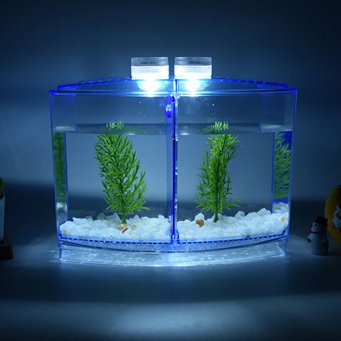 Mini arktisk fiskeavlskasse dobbelt guppy ruge dobbelt klækning akvarium betta gennemsigtig kasse  wf1020: A med lys