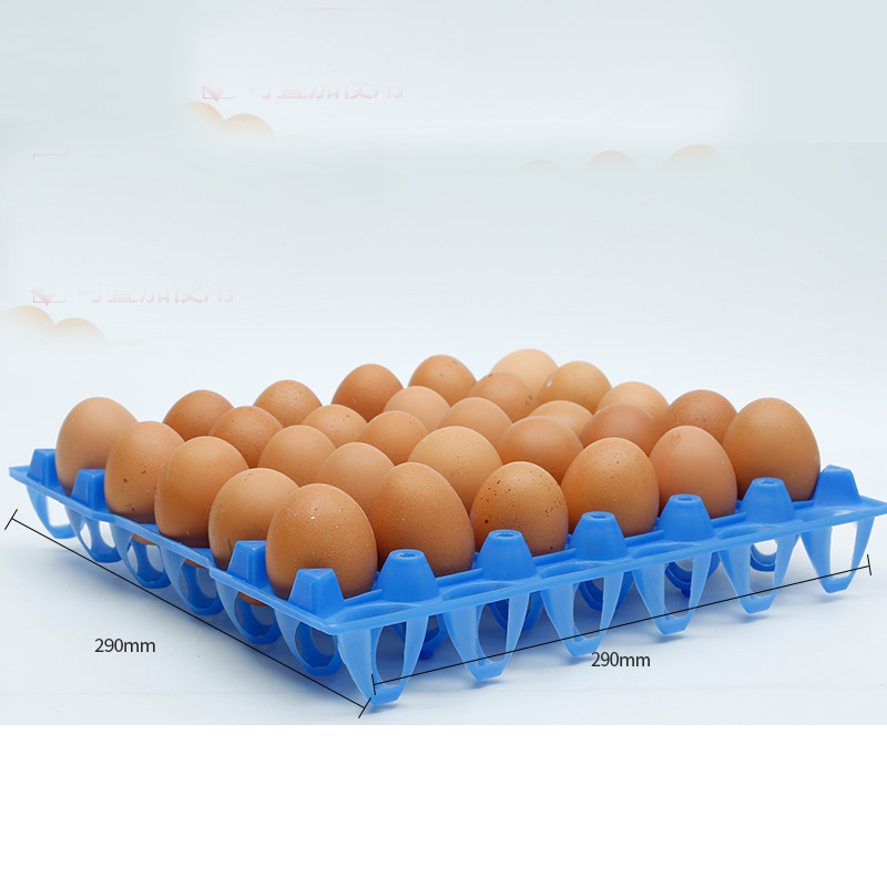 Transport d&#39;œufs commercial, 5 pièces, 30 œufs, plateau à rotation, caisse en plastique, conteneurs d&#39;œufs pour couches, matériel pour animaux de ferme, recyclage