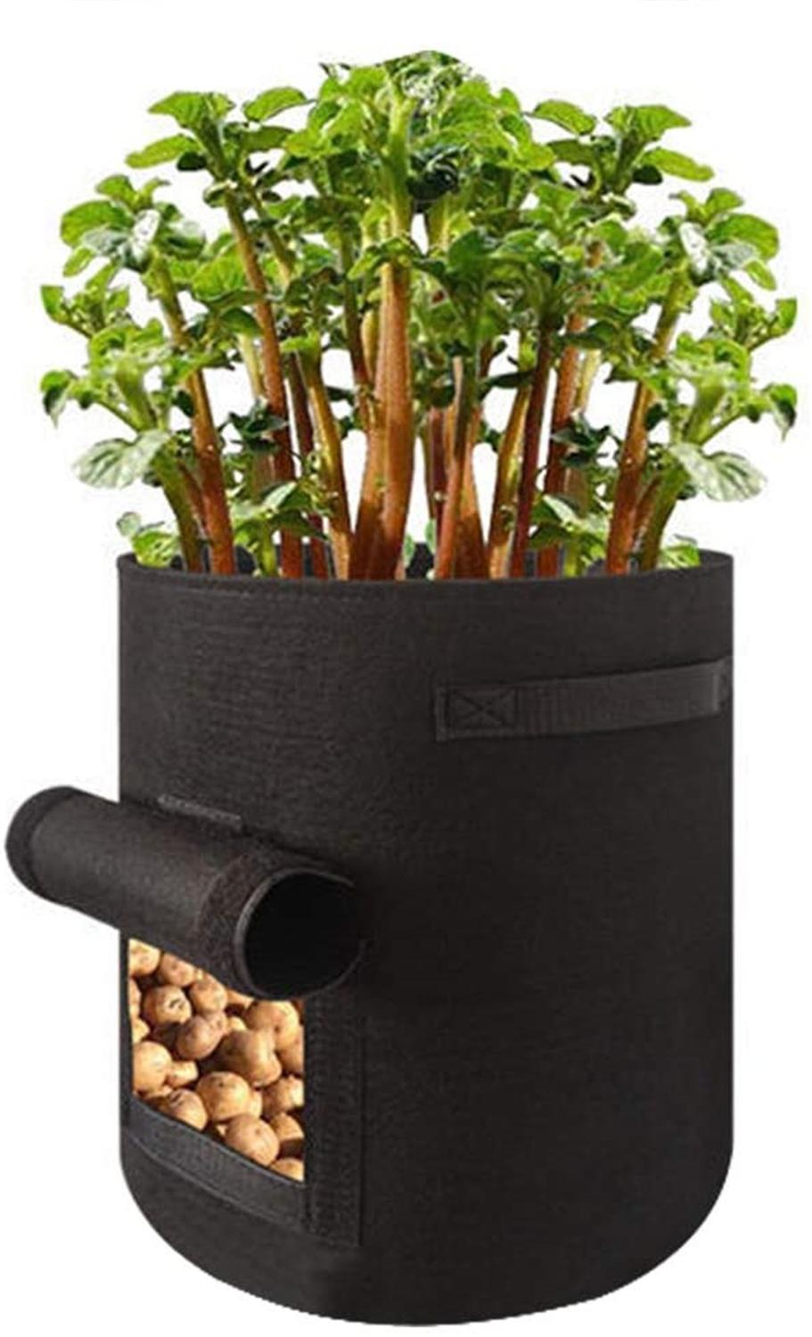 3 größe Anlage Wachsen Taschen hause garten Kartoffel topf gewächshaus Gemüse Wachsenden Taschen Feuchtigkeitsspendende jardin Vertikale Garten Tasche sämling: Schwarz(35x30cm(7gal)