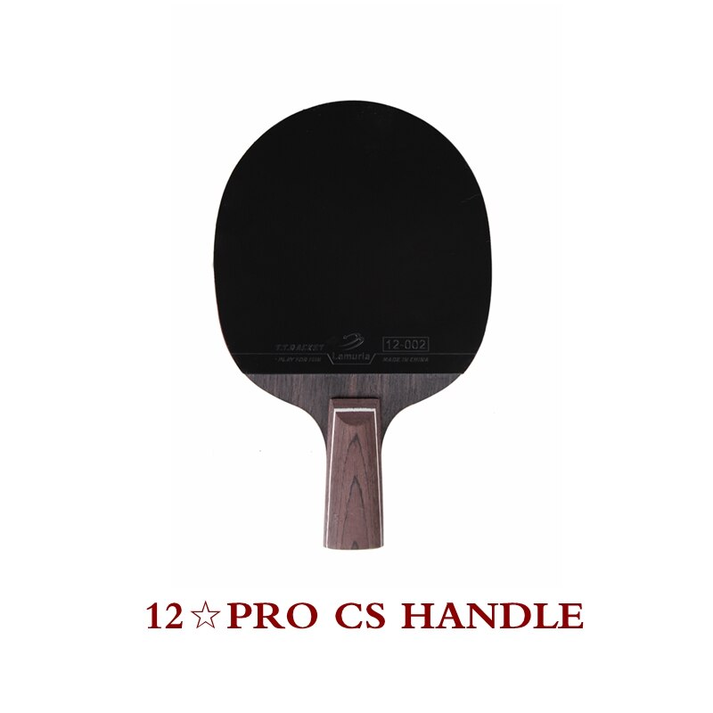 Brand Carbon Fiber Table Tennis Racket Assembled Pimples In Rubber Flared Handle CS Penhold Ping Pong Bat: EBENHOLZ 7 CS