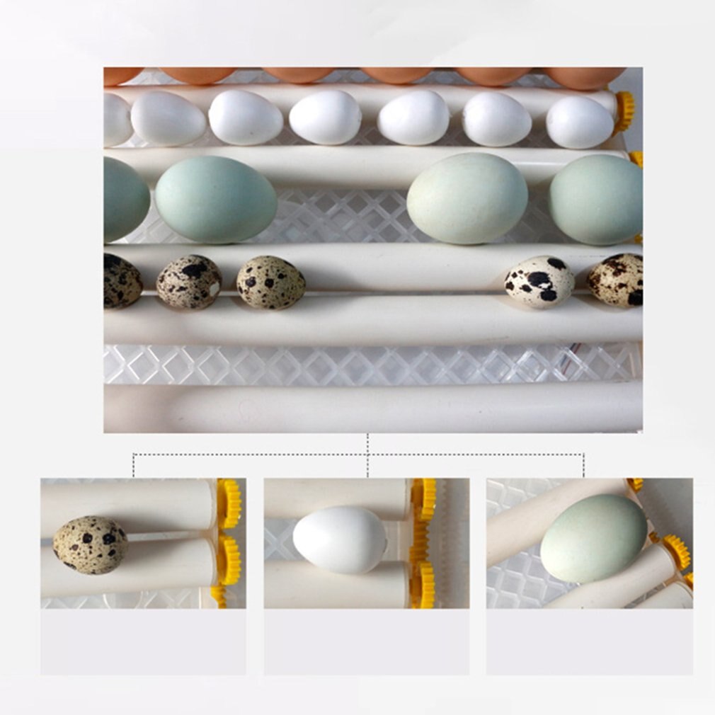 7/16 Eggs Incubator Brooder Bird Quail Incubator Chick Hatchery Incubator Poultry Hatcher Turner Automatic Farm Incubation Tool