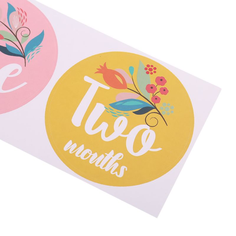 First Year Baby Monthly Milestone Photo Sharing Baby Belly Stickers Birth to 12 Months and 8 Bonus Achievement Stickers