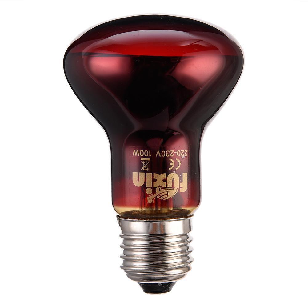 Luz LED nocturna para reptiles, lámpara de calor infrarroja UVA, Bombilla para serpiente, lagarto, accesorios para reptiles: 100w