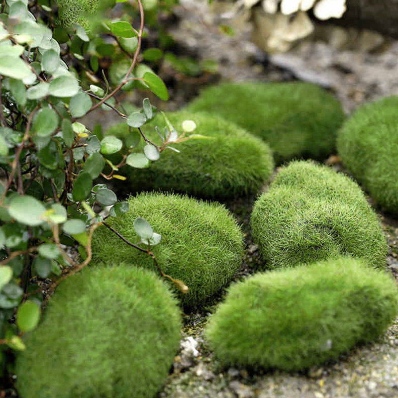 5 pçs verde artificial musgo pedras grama planta potted casa jardim decoração paisagem