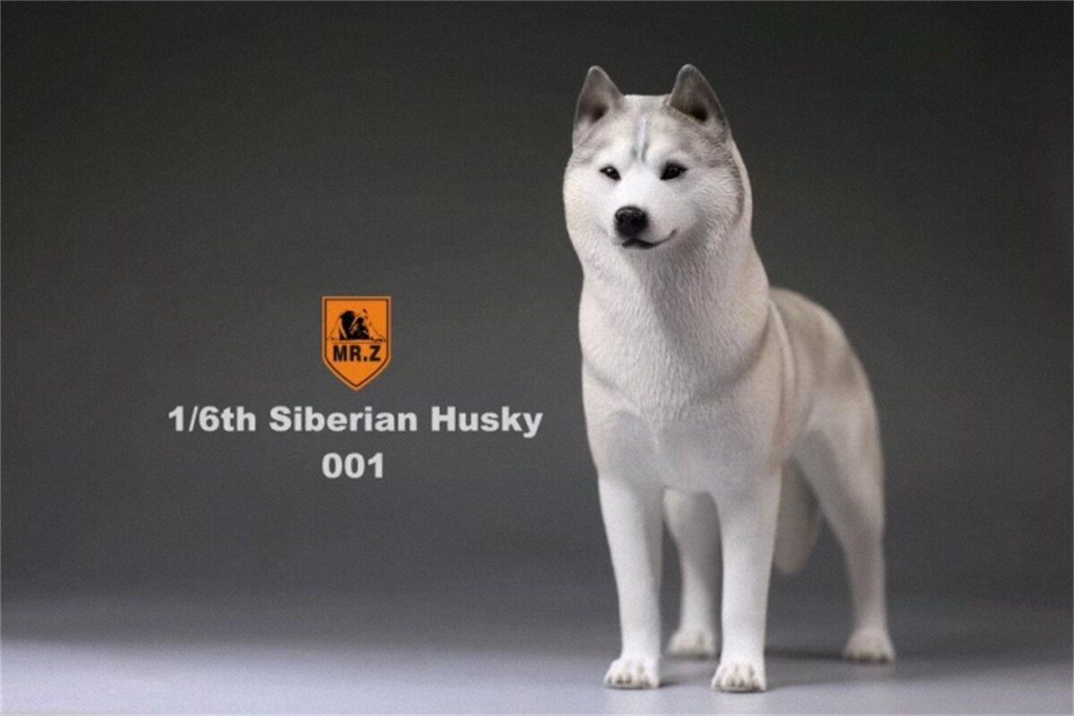 Herr.Z Studio 1:6 Simulation sibirisch heiser Hund Haustier Huskie Figur Ebene Dekor Modell Spielzeug Art Harz Ornamente Hund Hand zu tun: 001