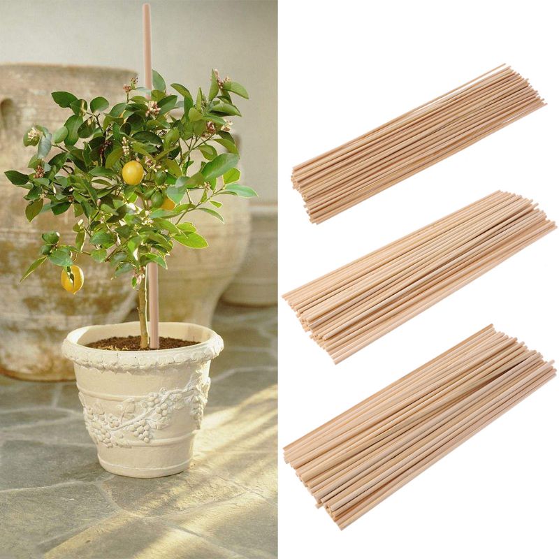 50pcs/set Wooden Plant Grow Support Bamboo Plant Sticks Garden Canes Plants Flower Support Stick Cane