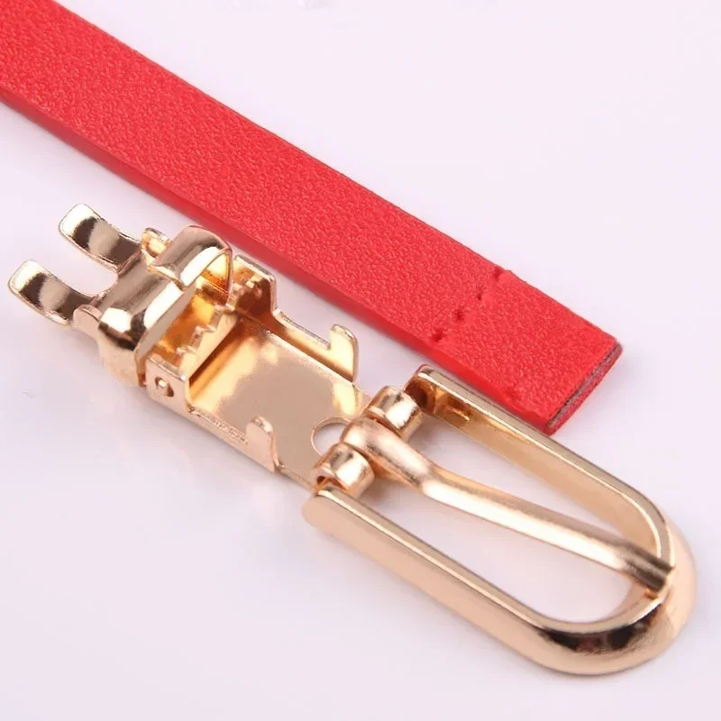 Ceinture de Taille Fine pour Femme, Accessoire de , Style 2023