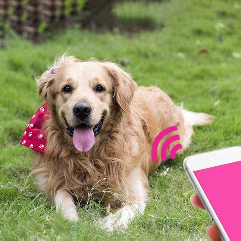 Huisdier Kerstcadeau Hond Smart Finder, bluetooth Finder Locator Draadloze Anti-verloren Locator Voor Sleutel Portemonnee Item Telefoon