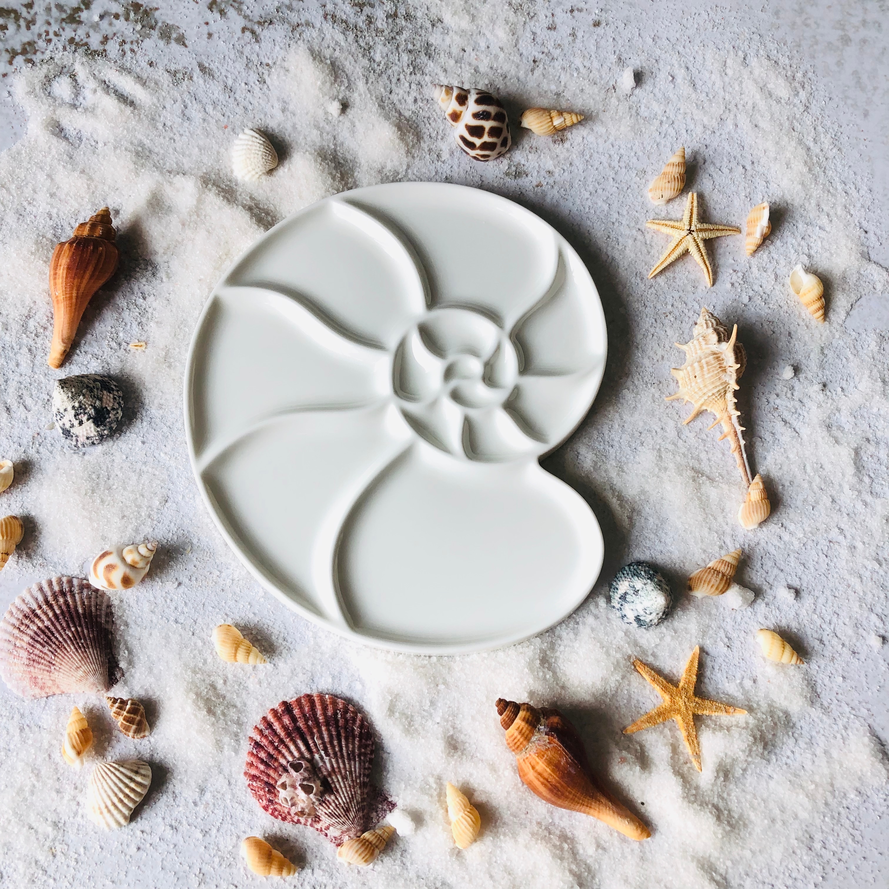 Schilderen Keramische Aquarel Palet Ronde Schelp Kunstenaar Professionele Keramische Palet Gouache Paintingtray Olieverf Schotel Art