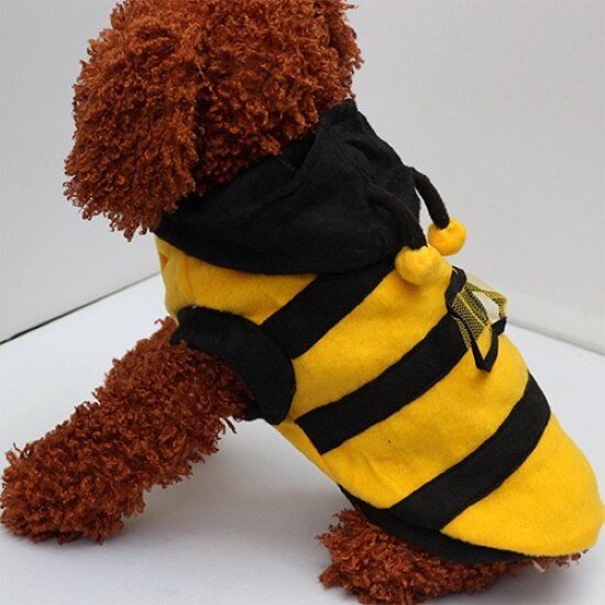 Ropa de lana suave para mascotas, suministros de productos para perros y gatos, bonito, caniche, accesorios, 1 ud.