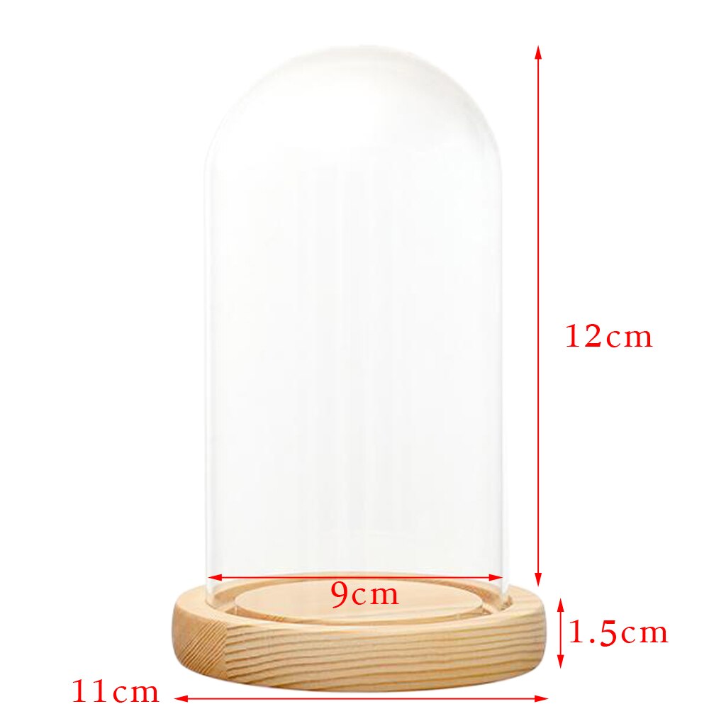 Glass Display Dome + LED Wooden Base, Decorative Clear Glass Cloche Bell Jars Display Dome for Decor: A 9x12cm