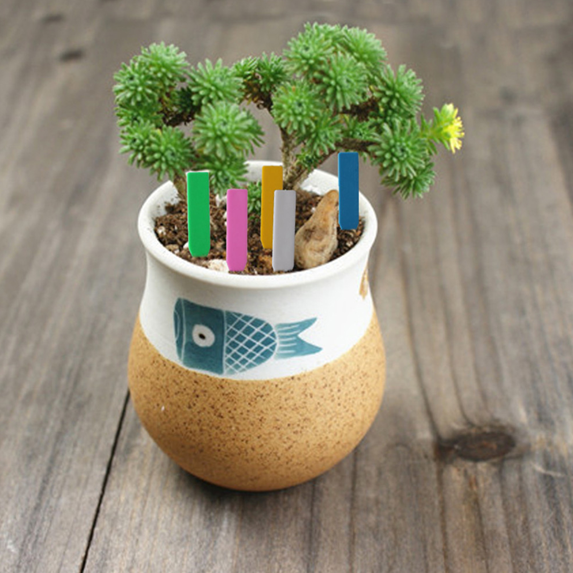 Etichette per piante in PVC da 200 pezzi etichette per piante etichette per piante in vaso di fiori impermeabili etichette per piante da giardiniere per palo etichette per piante da giardino tutto'aperto