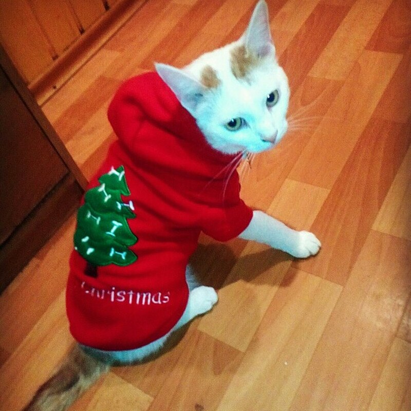 Husdjur katt kläder till jul tomte hoodie katt hund valp kostym vinter hund kläder till hund kappa hoodie kanin öra pannband