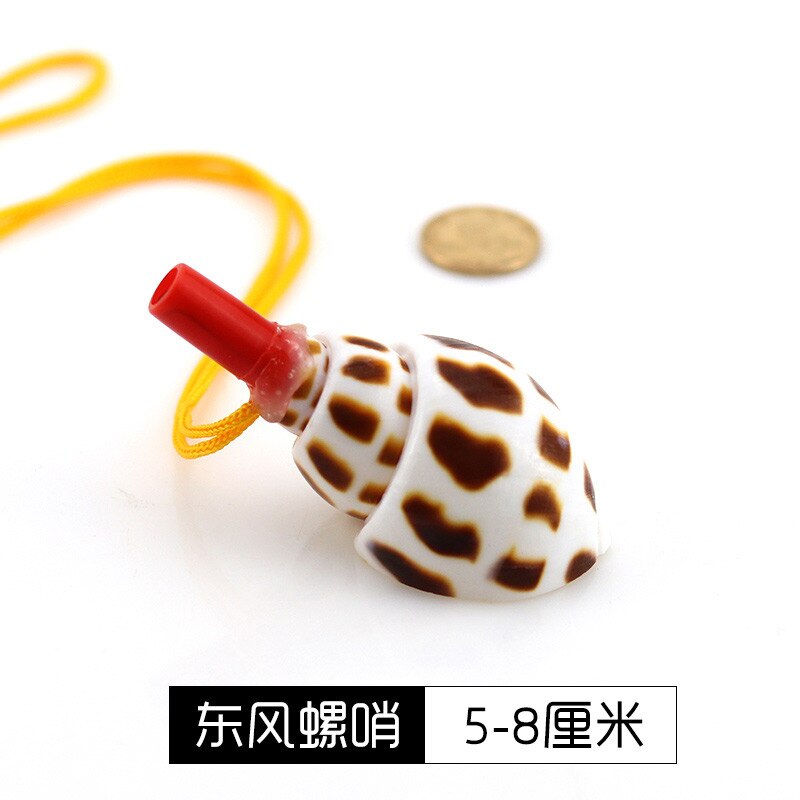 Sunchamo – sifflet de conque naturel, petite coquille de corne caractéristique, jouet artisanal, ornement Micro-paysage, décoration artisanale: 5-8 cm