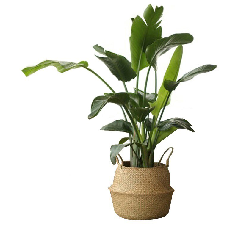 Handmade Seagrass Weaving Storage Baskets Foldable Basket Natural Straw Patchwork Wicker Rattan Belly Garden Flower Pot Basket