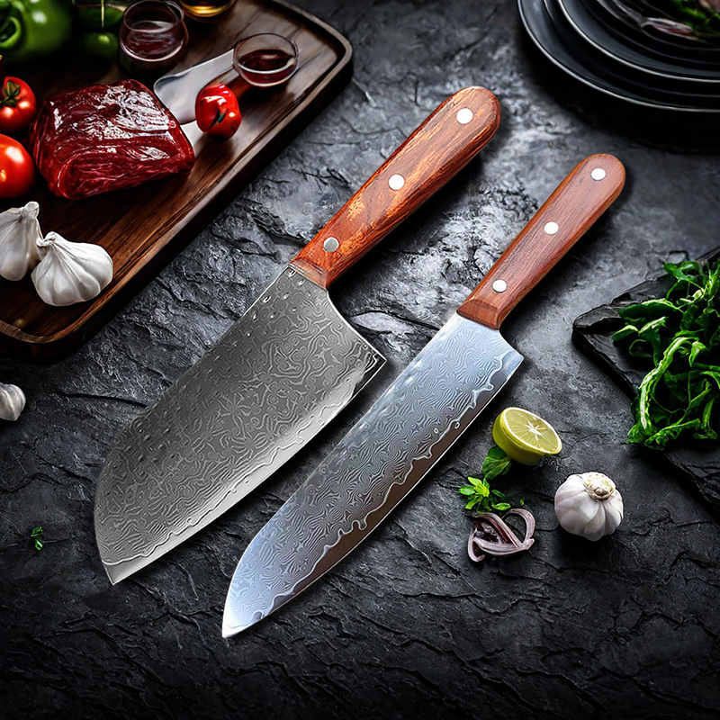 Cuchilla de cocina de acero damasco de 67 capas, cuchillo de Chef japonés, cuchillo Santoku para cortar, cuchillo para Sushi, herramientas de cocina profesionales