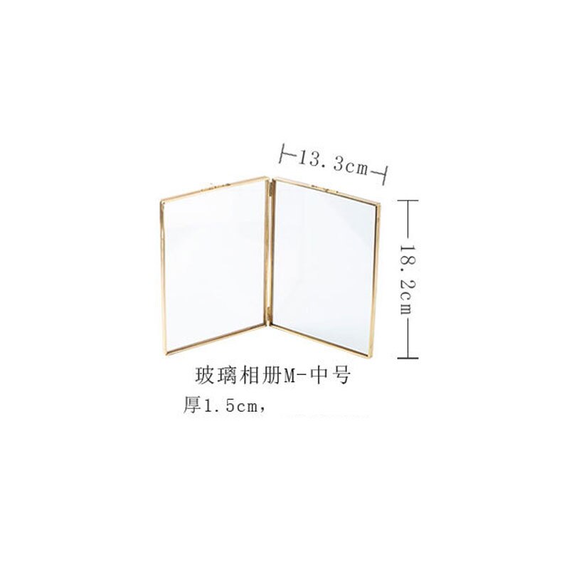 Folded Double-Sided Glass Metal Photo Frame, Botanical Specimen Holder, Electroplated Gold-Covered Display Stand: M
