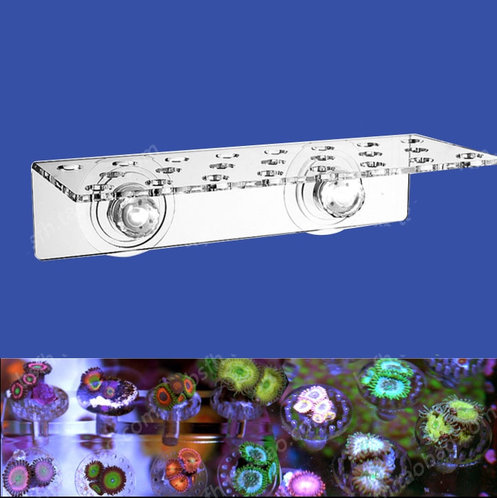 SPS Phyto Plus Coral Frag Stand Bracket for Live Coral Propagation in Marine Aquarium Fish Tank