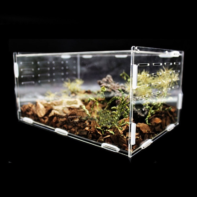 Transparent Acrylic Reptile Box For Spiders Tortoise Lizard Box Vents Box Insect Sliding Terrarium Insect Small Breeding