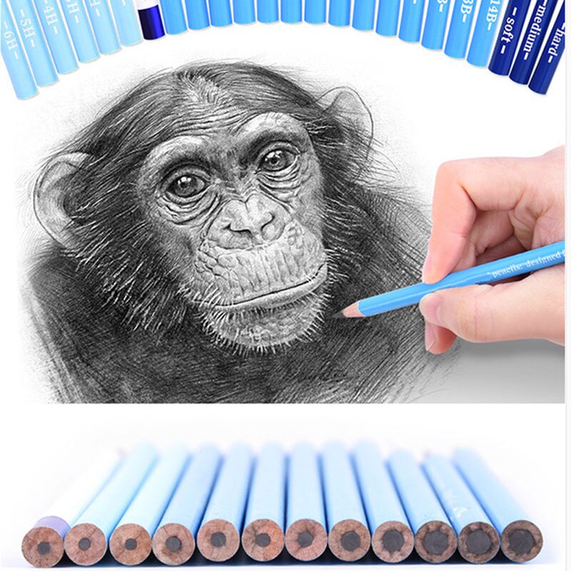 24 pc kolpennor set skissa kol ritning penna mjuk medelhård målning pennor konst höjdpunkt skiss kol penna