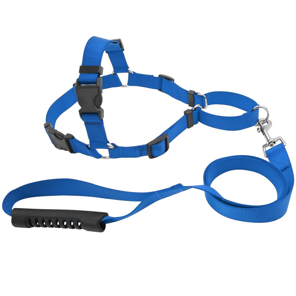 Pet No-Pull Nylon Dog Harness With Leash Training Harness Stop Pulling On Lead Small Medium Large: Blue / M
