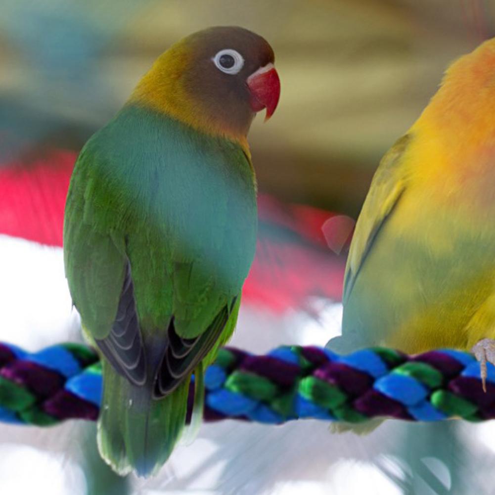 Pappagallo Corda di Cotone Corda di Cotone Uccello pertica pertica Curvo Gabbia per Uccelli Corda per Grandi Medie E Piccole Pappagalli Pappagallini parrocchetti