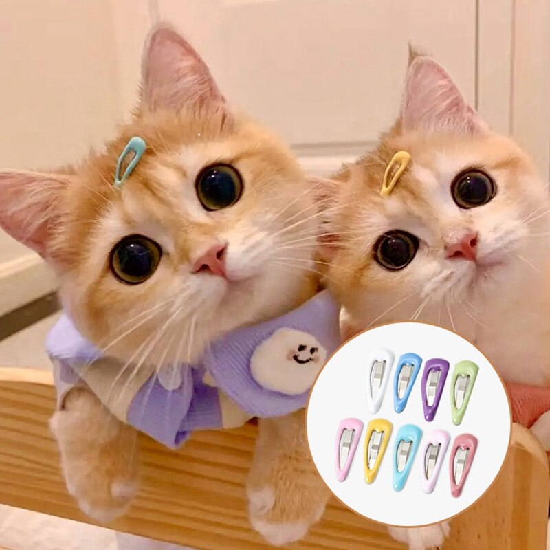 5/10/20Pcs Hond Haar Clips Honden Accessoires Kleine Puppy Kat Haar Clip Pet Hair Accessoires hond Haar Grooming Kat Accessoires