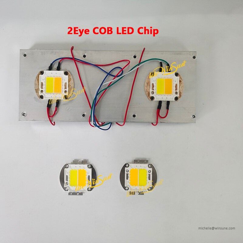 Fuente de luz LED COB 2 en 1, 100W, WW CW, Blanco cálido, blanco frío, para cegador, luz de público, luz Par COB
