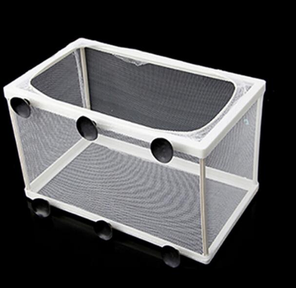 Artemia-caja de aislamiento para incubar peces, pecera, Cría de huevos de pescado, Incubadora de cría de peces de , accesorios para acuario: M / no partition