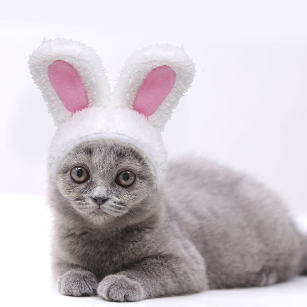 Cat Hat Bunny Rabbit Ears Headwear Kitty Cosplay Clothes Warm Costumes Dogs Kitten Party Costume Cute Adjustable Cat Accesorios