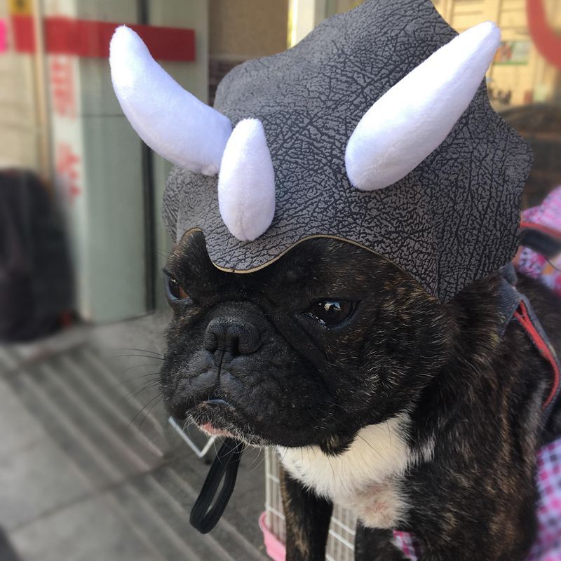 Grappige Hond Kostuum Hoeden Voor Katten Hoed Voor Hond Dinosaurus Triceratops Bulldog Hoed Cap Hond Cap Pet Hoofddeksels Kostuum Hond hoed