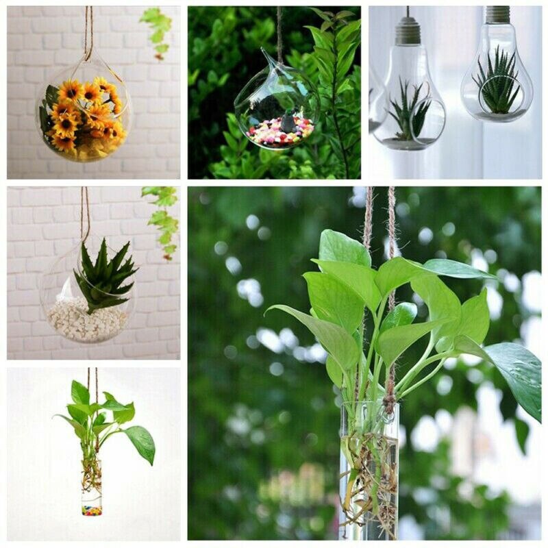 Hængende glaskugle vase plante terrarium blomsterplante pot yard gård bryllup værelse indretning