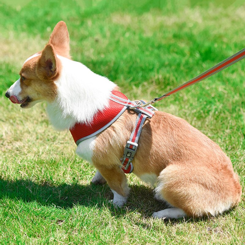 Novo cão pet reflexivo cinta de peito malha respirável peito de volta pequeno e médio porte coleira de cachorro gato pet arnês de náilon collar pug