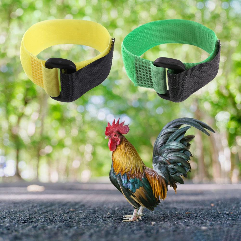Anti-Cock Kraaiende Vakmanschap Anti-Haak Haan Kraag Pluimvee Supplies