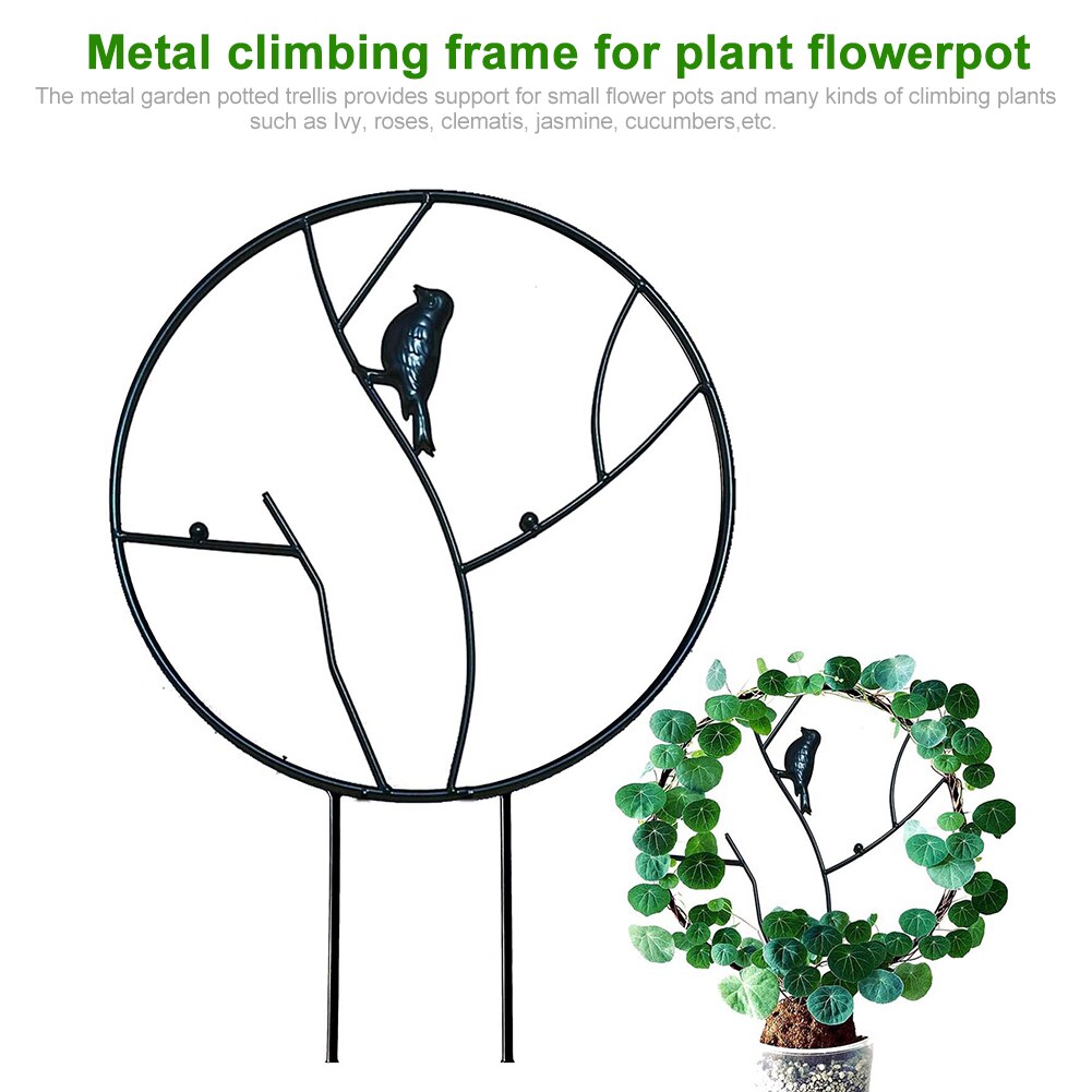 Indoor Pot Display Pea Climbing Plants Plant Trellis Cucumbers Metal DIY Flower Vegetables Vine Rose Support Garden Ivy
