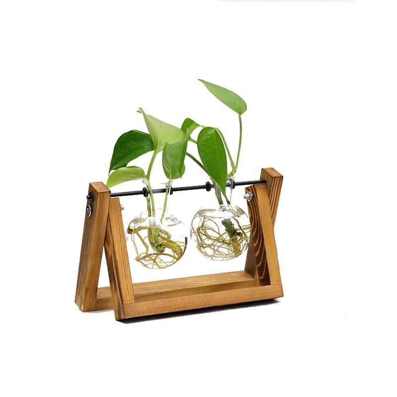 Bonsai Dekor blume Vase Werk transparent Vase Holzrahmen Vase Deko Glas Tabletop Pflanze blume geformt schüssel