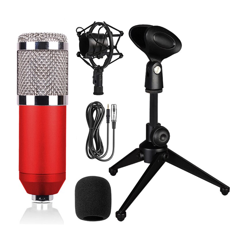 Condenser Microphone BM800 Kit Voice Recording Microphone for PC Mic Karaoke Microphone Sound Card Microphone Kit: Type 2