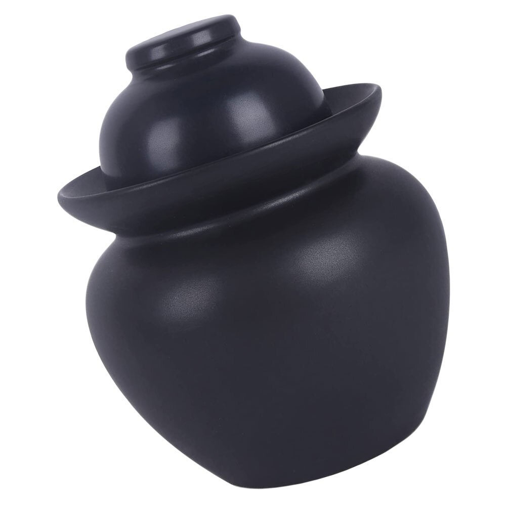 1pc Ceramic Food Container Leak Proof Ceramic Jar for Home Kitchen (Black): Default Title