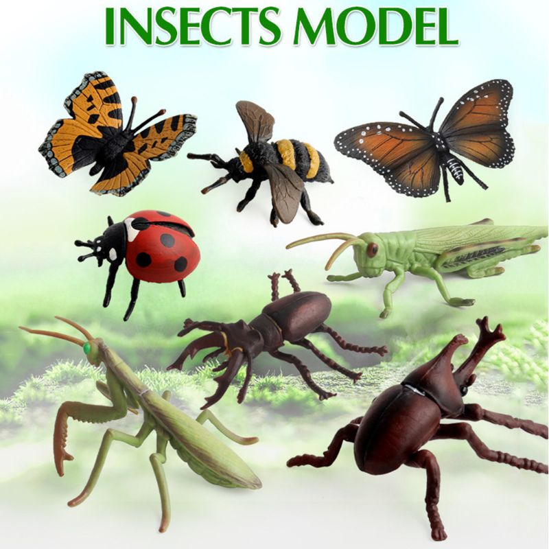 12 st/lot insektsmodeller figurer kognitiva djurleksaker för barn leksaker för tidig utbildning 72xc