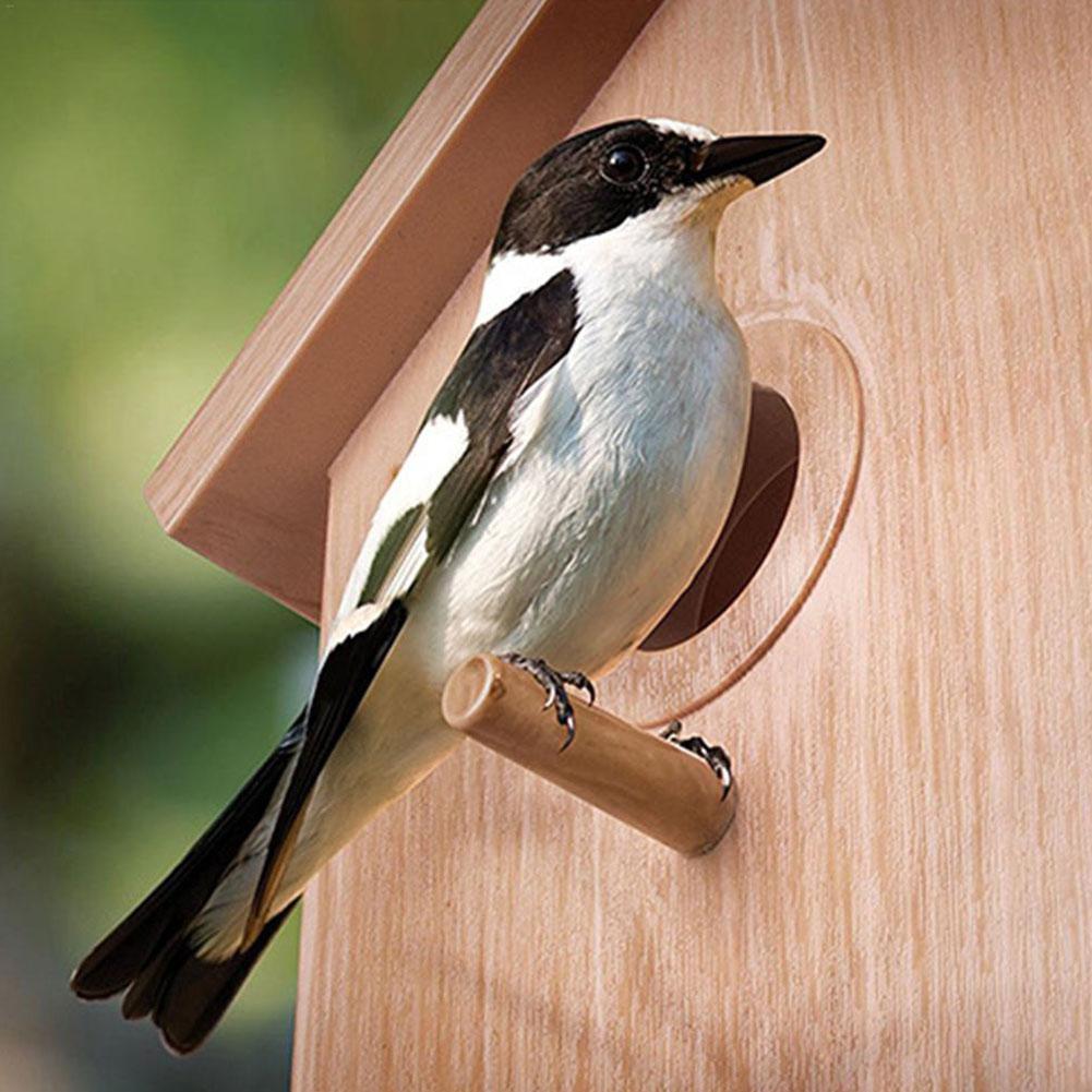 AKND Pets Mangeoire pour Oiseaux de Fenêtre avec Ventouses