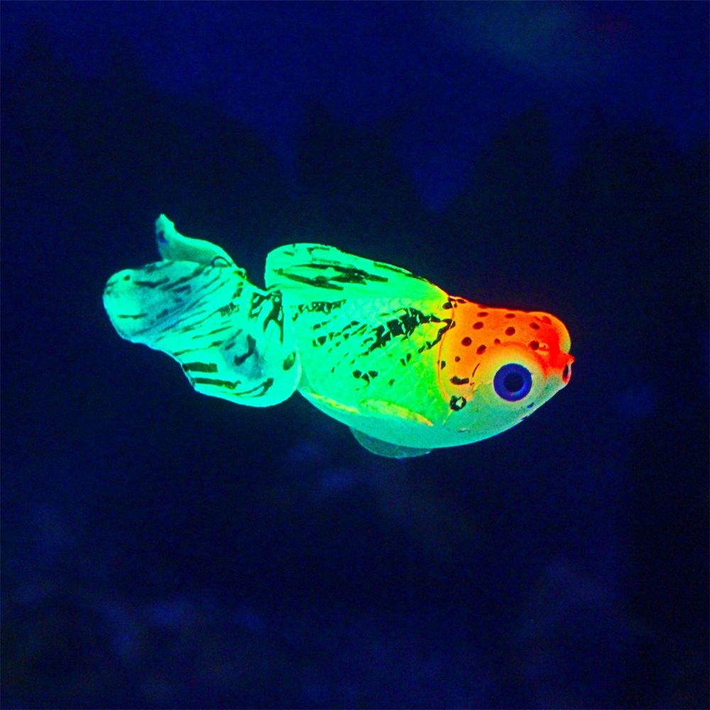 Siliconen Oceaan Lichtgevende Goudvis Aquarium Nachtlampje Simulatie Vis Onderwater Ornamenten Aquarium Landschap Kunstmatige Vis: Bruin