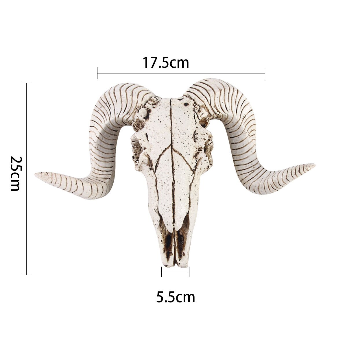 3D Horns Skull Ornament Resin Skull Retro Wall Hanging Crafts Home Office Decor Animal Skull Home Decoration: Default Title