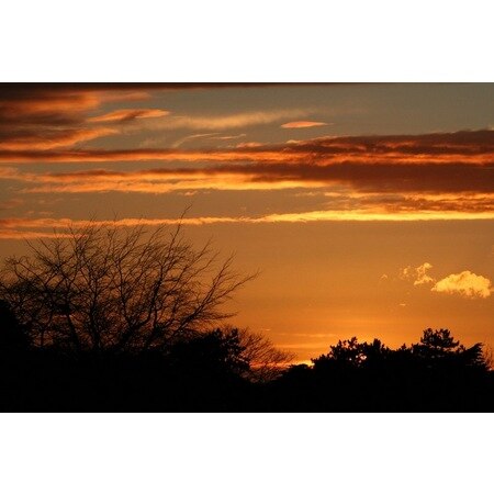 Day Sunset Color 3D Dimensional Wallpaper 288266948