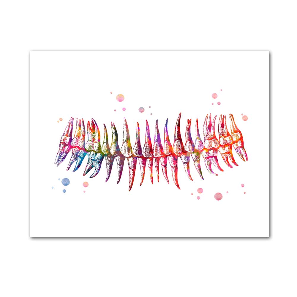 WANGART Tanden Aquarel Print Dental Art Tandarts Poster Menselijk Tanden Anatomie Stomatologie Decor Kliniek Muur Decor Doctor: 20x25cm no frame / jy1353