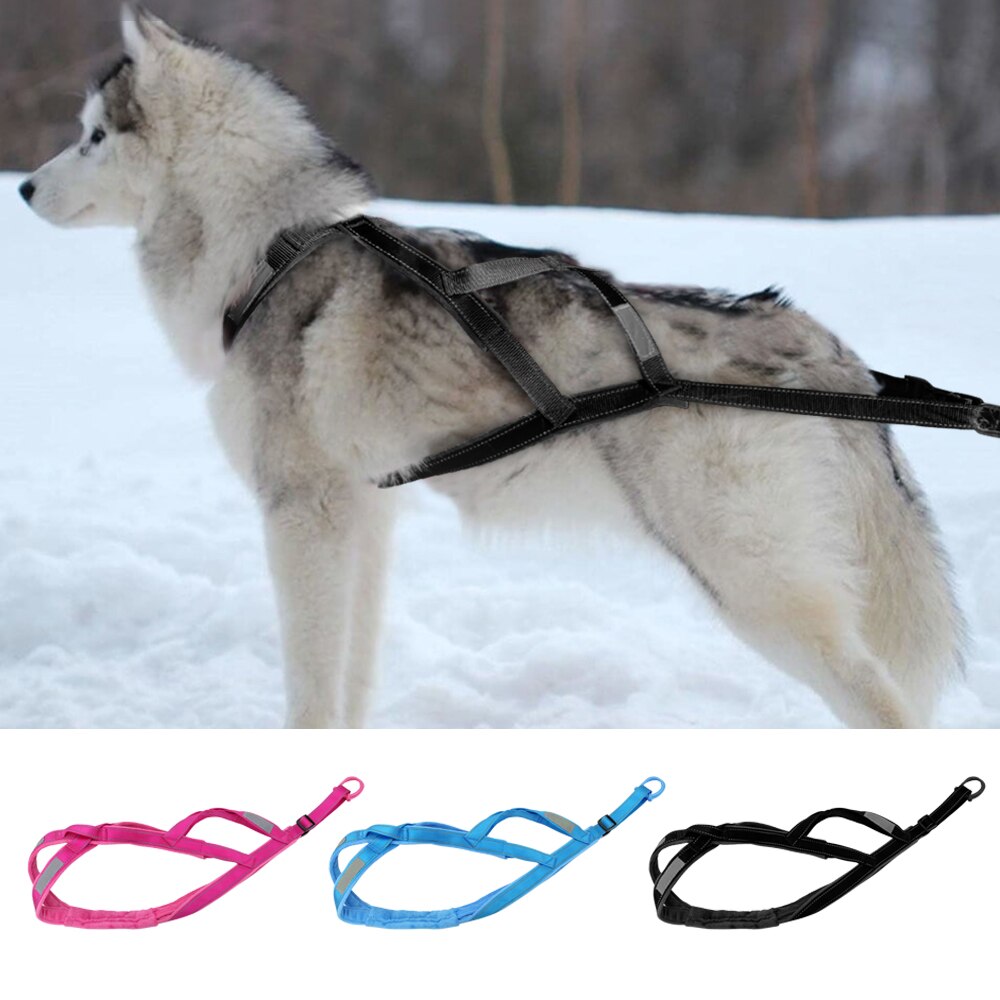 Reflecterende Hond Slee Harnas Winter Warm Rodelen Harnas Grote Hond Sterkte Weging Training Strap Voor Skijoring Scootering