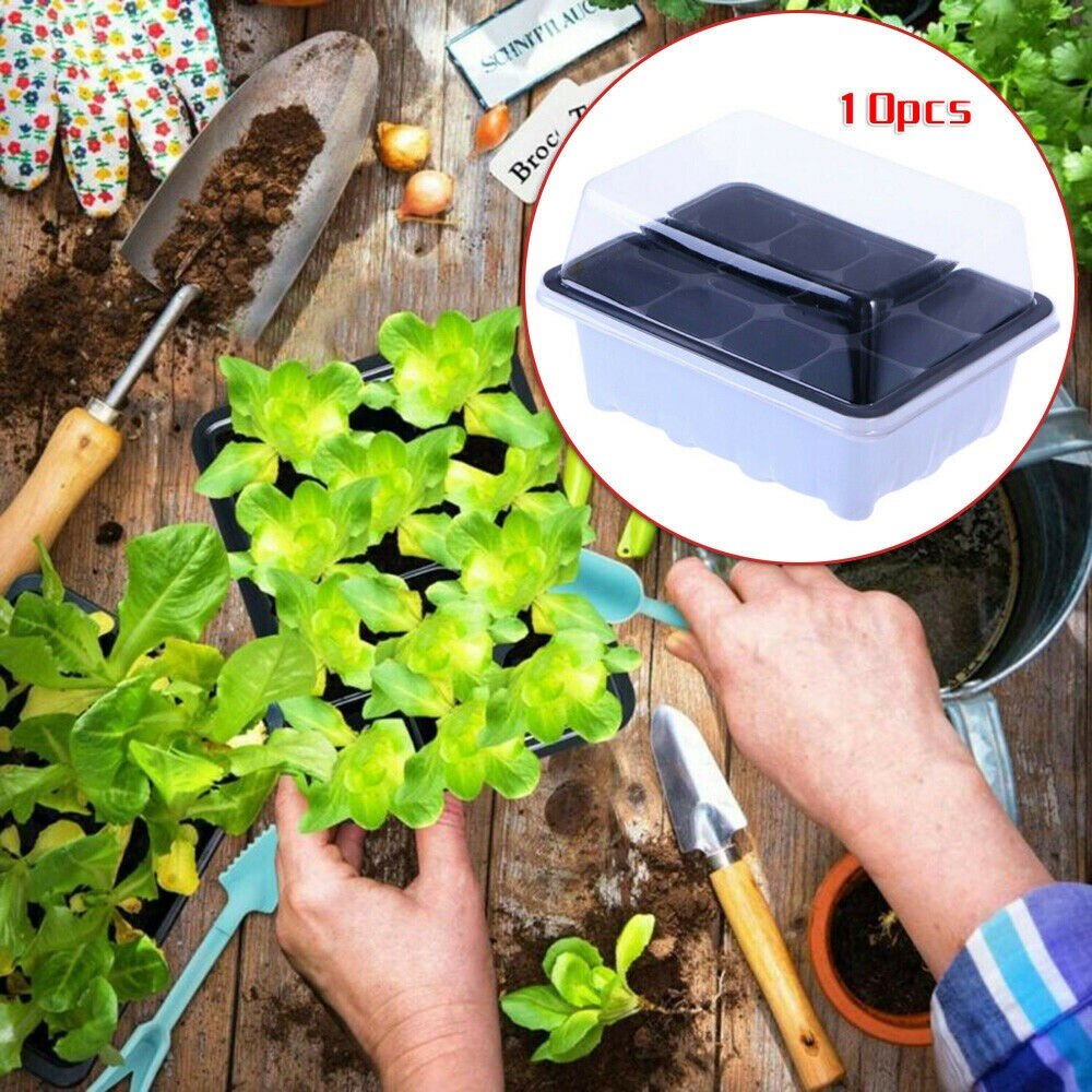 10PCS Seed Starter Propagation Tray 12 Cell Seedling Plant Clone Greenhouse